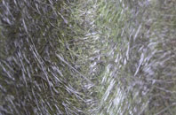 Porton fibreglass roof work