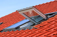 Porton roof window